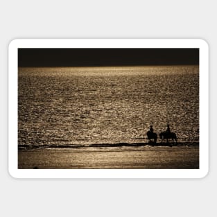 BROADHAVEN BEACH SUNSET RIDERS Sticker